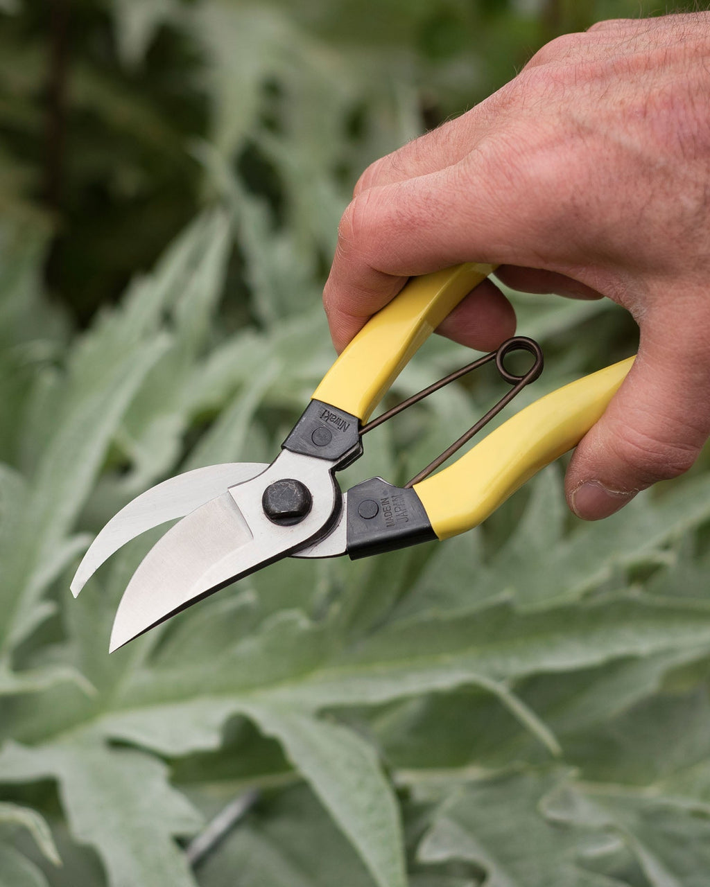 Niwaki Mainichi Secateurs – image 3